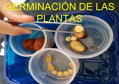 Experimentos caseros. 1º ESO