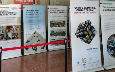 Cambio climático, cambio global