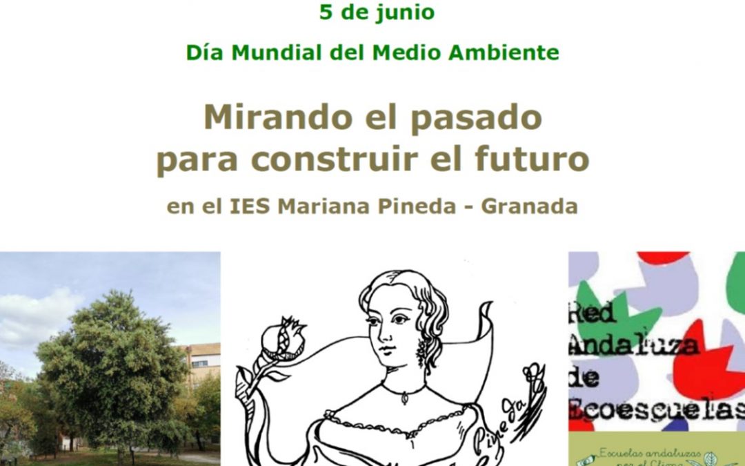 Mirando el pasado para construir el futuro