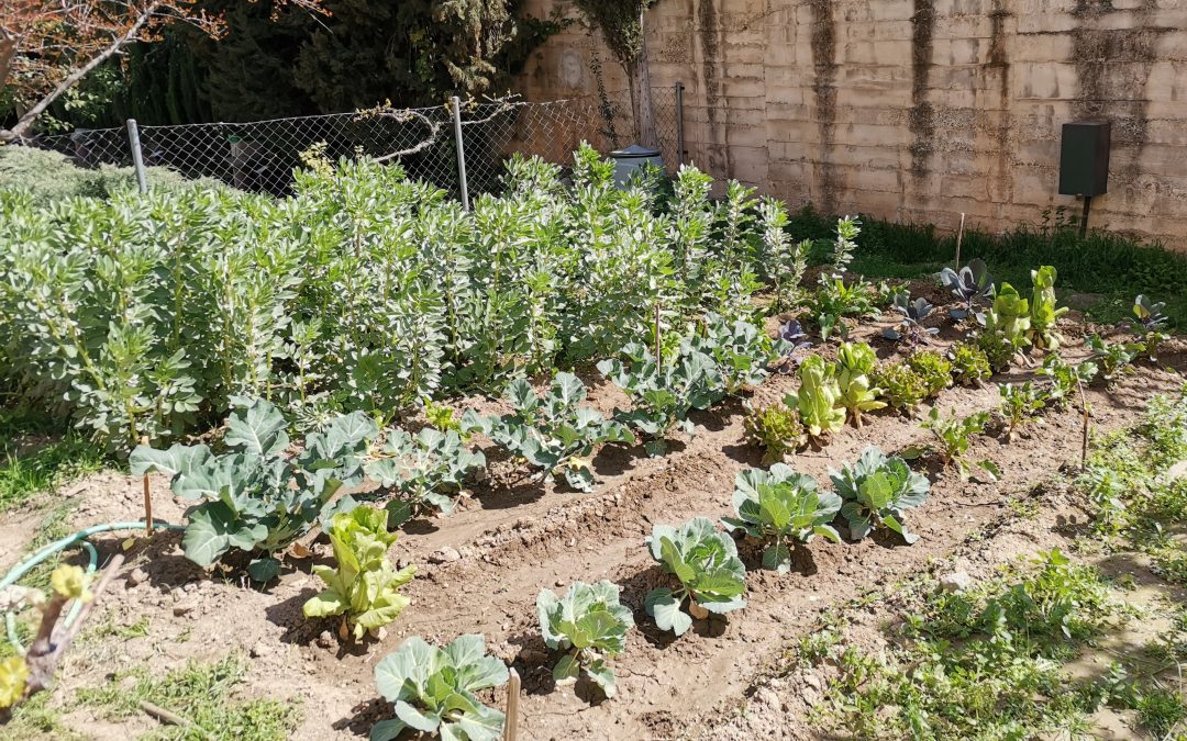 Un huerto escolar para comérselo