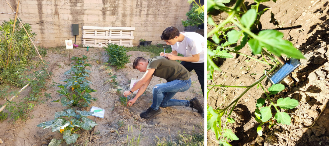 “Artículos del proyecto “Las Plantas del Mariana” listos para su publicación en la revista High School Students for Agricultural Science Research (HSSASR) de la Estación Experimental del Zaidín EEZ-CSIC”