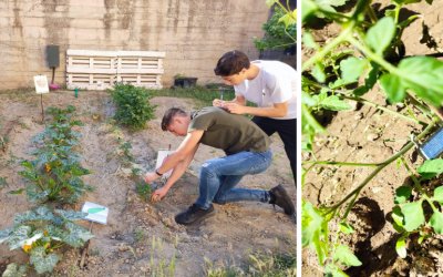 “Artículos del proyecto “Las Plantas del Mariana” listos para su publicación en la revista High School Students for Agricultural Science Research (HSSASR) de la Estación Experimental del Zaidín EEZ-CSIC”